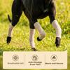 4Pcs Comfortable Breathable Dog Elbow Cover Stretchy Joint Protection Dog Knee Protector Warm Elastic Dog Leg Sleeves Sports 2
