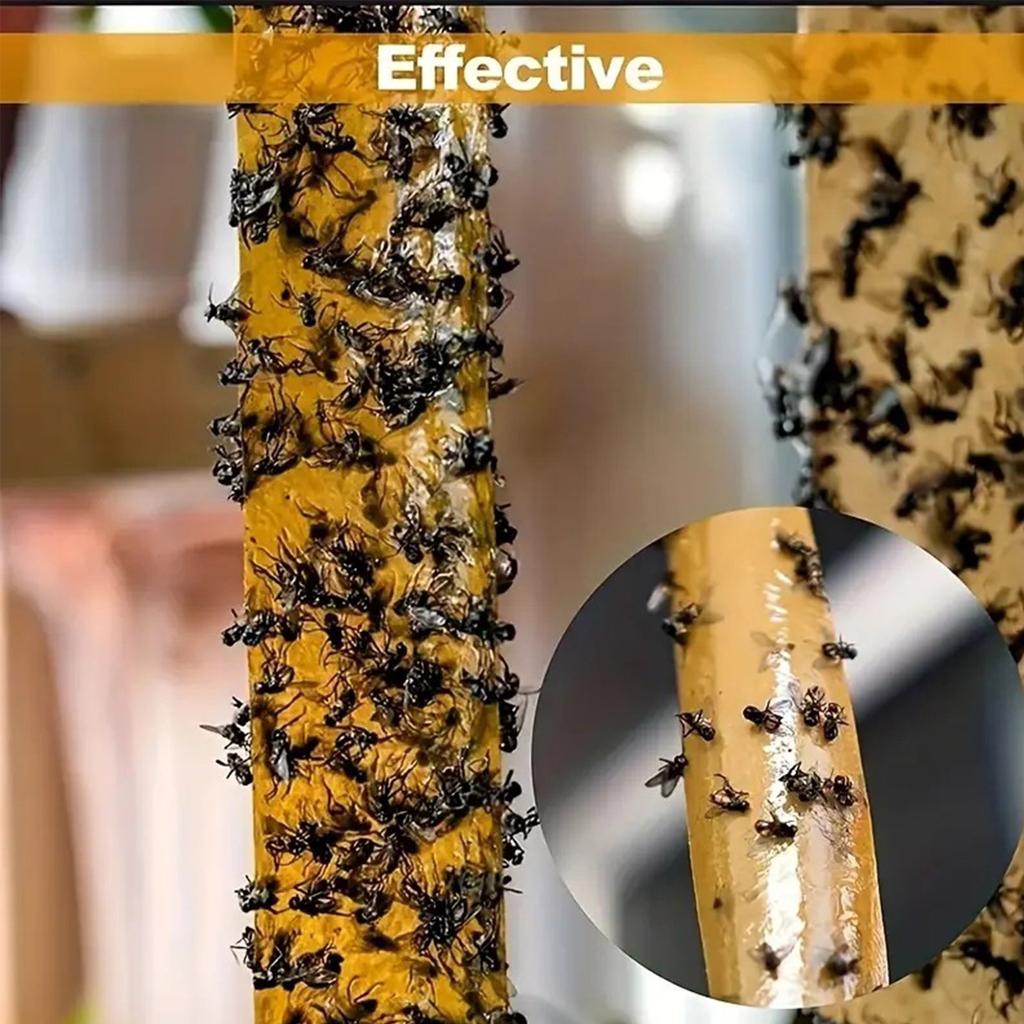 Полоски для мух в помещении Уничтожители фруктовых мух Уничтожители мух В помещении В помещении Комнатные мухи На открытом воздухе Для