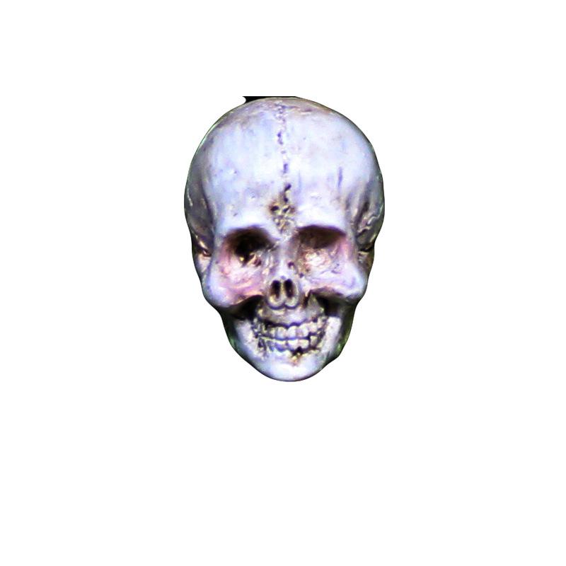 Halloween Pumpkin Ornament Skeleton Cat Garden Micro Landscape Ghost Festival Dog Ornament Horror Resin Crafts