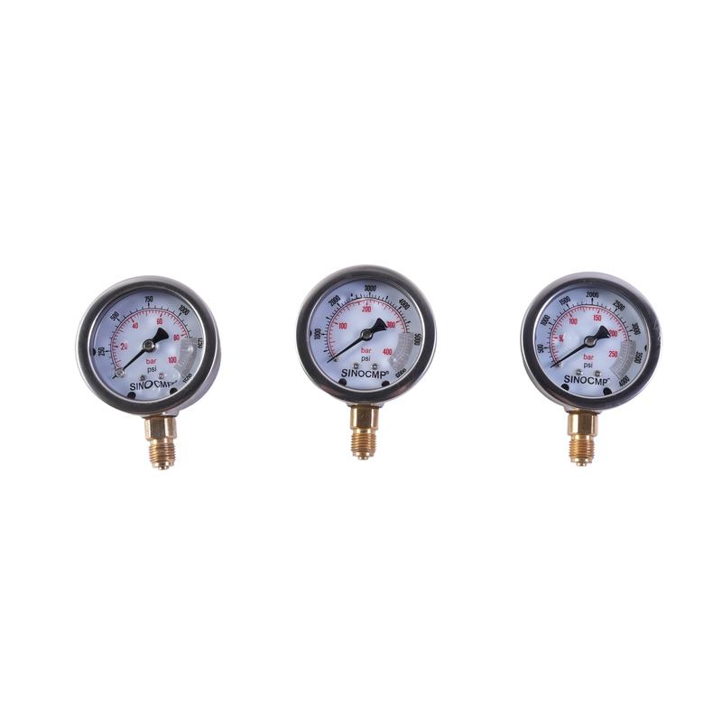 10000PSI/600BAR/60MPa Hydraulic Pressure Gauge Kit Coupling Test Hose Assembly Test Hose Test Kit Pressure Gauge Diagnostic Tool
