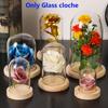 Glass Vase Terrarium Transparent Bottle Flower Storage Box Glass Cloche Wooden Base Dust Cover