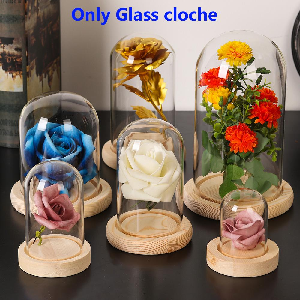 Plants Transparent Bottle Jar Glass Vase Wooden Base Flower Storage Box Glass Cloche Dust Cover