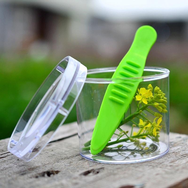 Nature Exploration Toy Kit for Kids Plastic Scissor Clamp & Tweezers Plant Insect Study Tool
