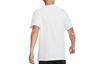 Nike T Shirts Men's White Crew Neck Moderate Straight Fit CW0427-100