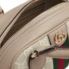 Gucci Ophidia GG Monogram Съемный кожаный ремешок Застежка-молния Холст и кожа Мини-сумка через плечо Сумки женские 724606-FABEX-9642
