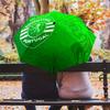 Royal Lion Emblem Design Folding umbrella durable Suitable for all seasons printing Gift Umbrella