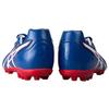 Asics Ds Light Series Round Toe Lace-Up Ag (Rubber Short Studs) Artificial Grass Synthetic Leather Soccer Shoes Men Soccer Shoes Blue Red 1103A032-401