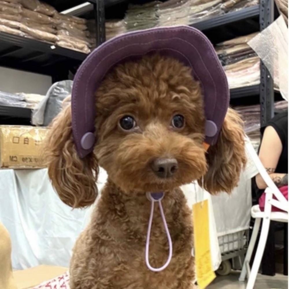 Sun Protection Pet Sunshade Hat Adjustable Pet Baseball Cap Dog Fisherman Hat Sun Protection