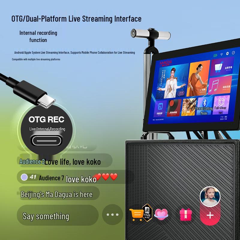 MALONE Portable Karaoke System with Display CN plug (adapter included) (CN version)