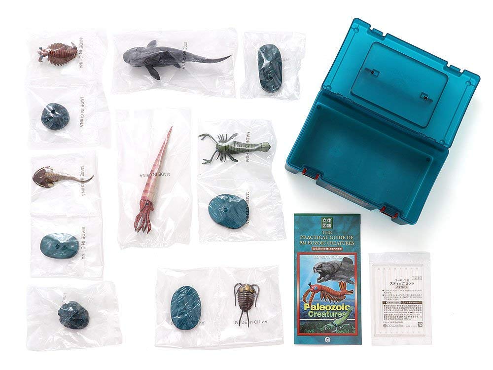 COLORATA 3D-фигурка существ палеозойской эры, книга с картинками, 6 видов рыб, инструкция и подставка, реалистичная игрушка в коробке, обучающая игрушка, подарок
