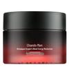 CHANDO Euspa Shampoo & Men's Dragon's Blood Moisturizer Set