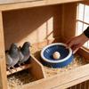 Птичник с пластиковым инкубатором для разведения мелких птиц и инкубации яиц