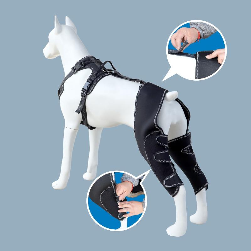 Pet Leg Protection, Dog Leg Protection, Postoperative Rehabilitation, Knee Protection, Knee Assistance, Leg Joint Protection