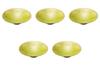 Set of 5 Nanban Uguisu Flat Small Bowls X Medium Bowls Arita Ware Setomonohonpo [16 4.5cm]