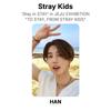 Stray Kids «Stay in STAY» на ВЫСТАВКЕ В ЧЕДЖУ «TO STAY, FROM STRAY KIDS» Официальная фотокарточка