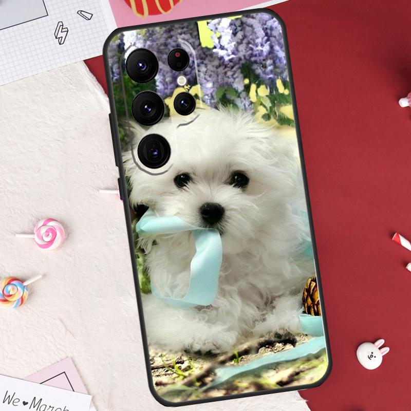 Cartoon Maltese Dog Case For Samsung Galaxy S25 FE S23 FE S20 S21 S22 S24 S25 S26 Ultra S10 S25 Plus Cover Shell