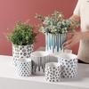 Современный скандинавский керамический цветочный горшок для гостиной, интерьера, настольная ваза, простой геометрический узор, цветочный горшок для растений, садоводство