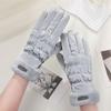 Plush Down Cotton Gloves New Winter Fleece Cold Weather Gloves Cotton Thickened Warm Women's Gloves Touch Screen Ski Gloves