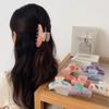 Acetic Acid Ocean Animal Hair Clip Korean Style Geometry Shark Clip Shell Hair Claw  Vacation