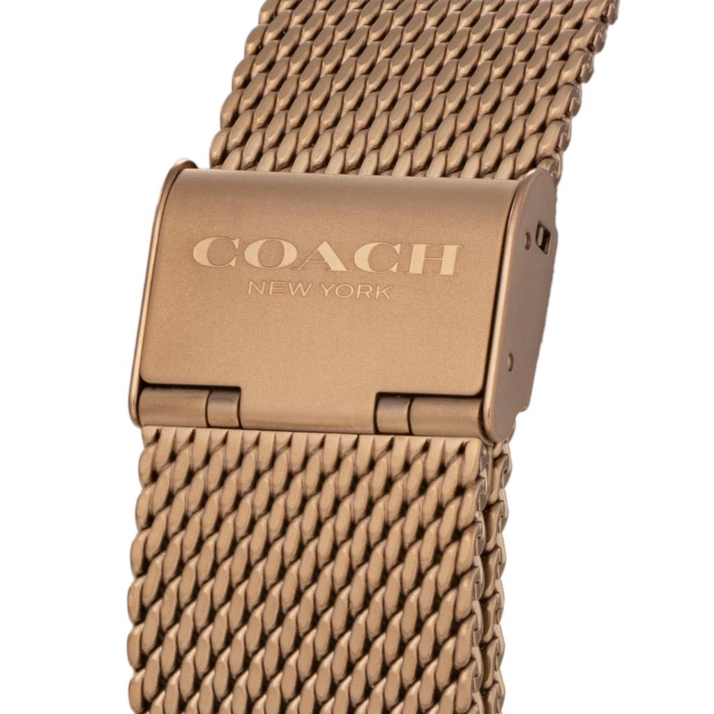 Повседневные часы CHARLES 14602471 Коричневый [Coach] Мужские [Товар]