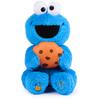 GUND Sesame Street Peekaboo Cookie Monster 6069780