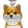 Keychain Pet Style Collect Pet Hair Transparent Pendant Keyring Bag Pendant Key