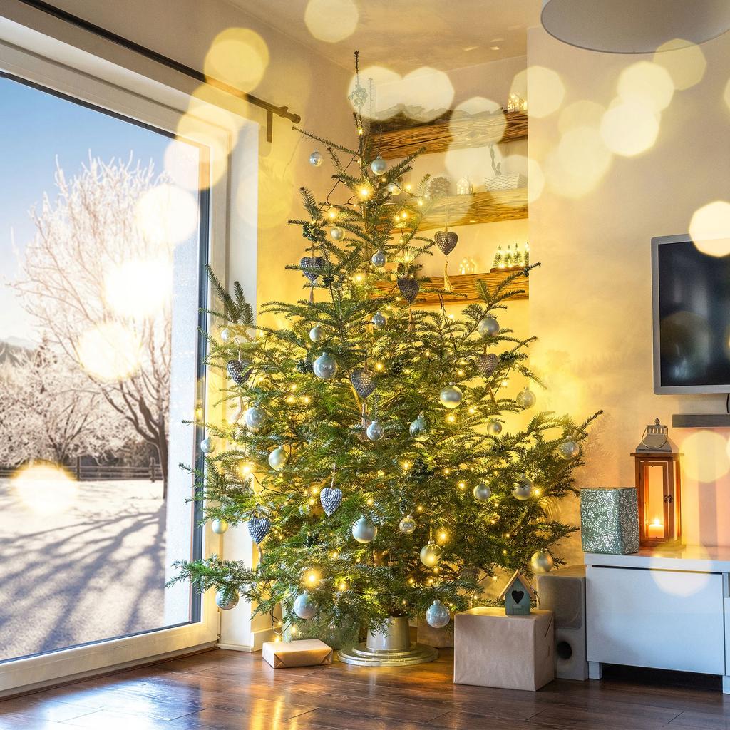 KADAX Подставка для елки Подставка для елки 2 м Серебро