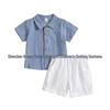 Summer Boys Pure Cotton Multicolor Shorts and Shirt Set