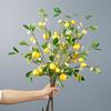 Decoration Restaurant Photography Props Lemon Fruit Artificial Flower Lemon Branch Green Plants