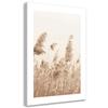 Canvas Print, Reeds Swaying In the Wind