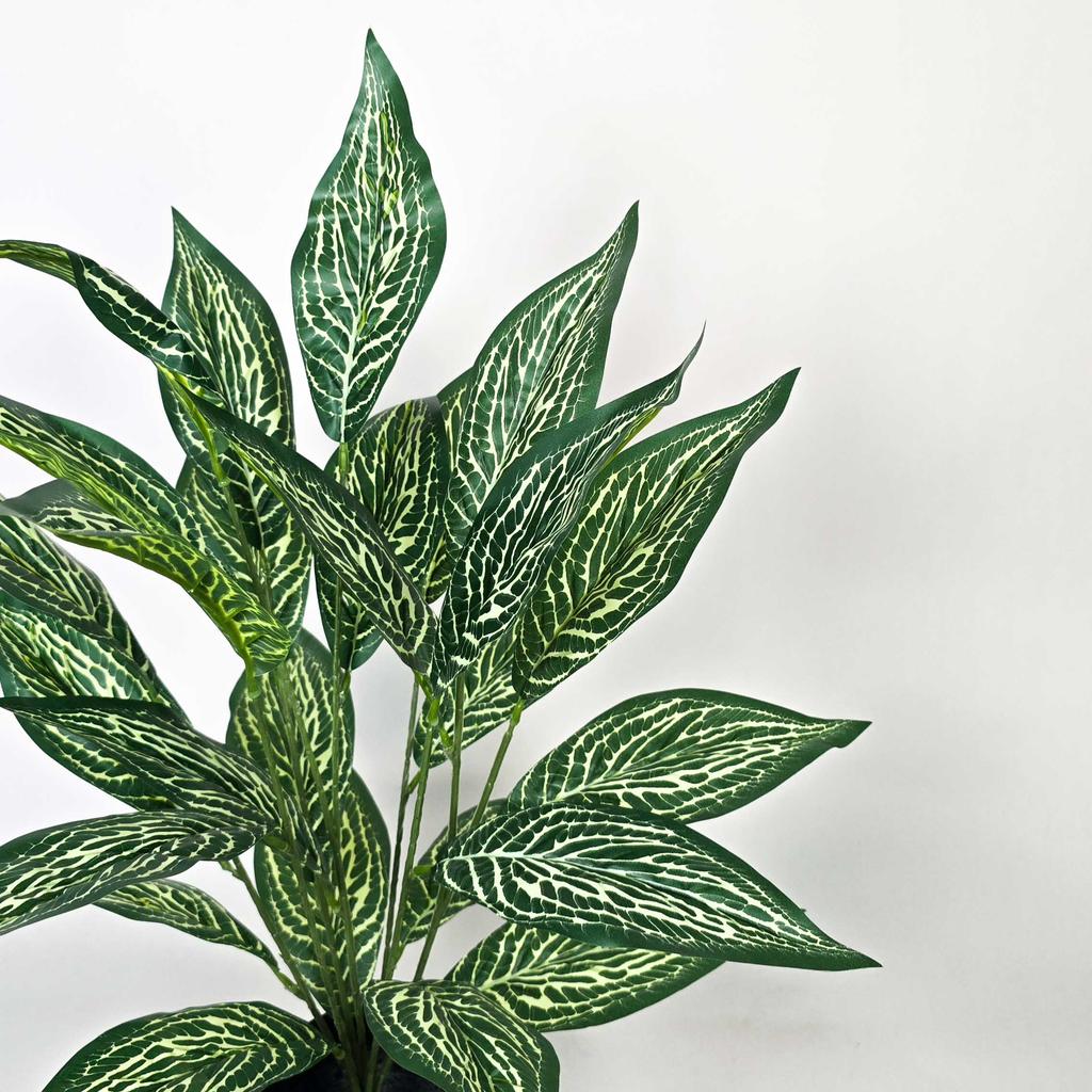 Diffenbachia Artificial Plant Flower In Pot 65