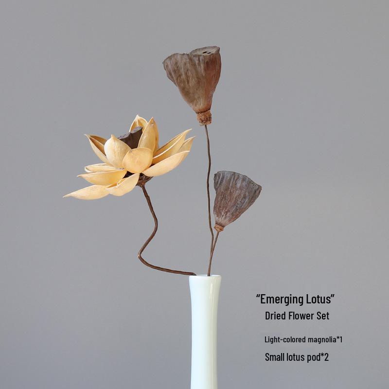 Zen Lotus Dried Flower Bouquet: Natural Chinese Style Living Room Decoration