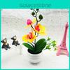 Artificial Orchid Plant Decorative Bonsai With Plastic Material For Home Decor And Gift Display