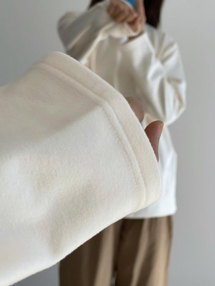 Bottoming Shirt Women Velvet Autumn Winter Turtleneck Long-sleeved T-shirt Thickened Casual Inner Warm Top Office Lady's Loose