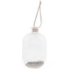 Glass Bottle with Silver Glitter To Hang