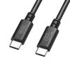 Sanwa Supply USB 2.0 Type-C Cable (PD60W/3m/black) KU-CCP6030BK