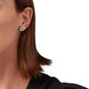Emporio Armani Колесо обозрения Модное круглое кольцо Логотип орла Серьги с цирконами Женские серьги Серебро EG3587040