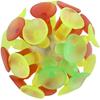 Interaction for Children Ball Toy for Kids Stick Ball Suction Cup Ball Sucker Ball Suction Toy