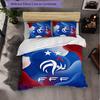 France Football Pattern 3 Pieces Bedding Set Soft Microfiber Duvet Cover with Pillow Cases for Bedroom