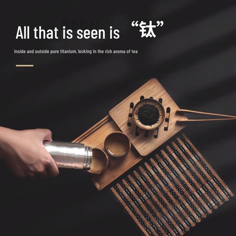 TAIC Pro Pure Titanium Insulated Tea & Water Bottle with Infuser