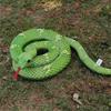 Large Golden Python Water Snake Plush Toy - Realistic Snake Ornament Prank Gift for Adults