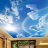 3d обои Фрески Голубое небо Белые облака Радуга Фотообои Гостиная Спальня Потолок Декоративные обои