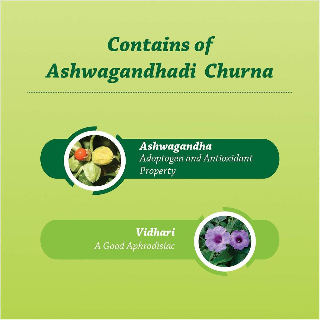 Baidyanath Asli Ayurved Ashwagandhadi Churna 100 G Pack Of 2 Powder For Stamina Immunity Support