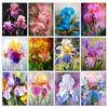 5d DIY Алмазная картина Цветок Полный квадратный сверло Алмазная вышивка Ирис Мозаика Стразы Набор для творчества Декор для дома