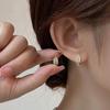 Маленькие нежные серьги-листочки Микро-сет Серьги Женская мода Ниша Высокое чувство Темперамент Серьги-гвоздики Индивидуальность Элегантные аксессуары