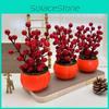 Красная Хурма Декоративное Растение Пенопластовые Фрукты Цветочные Горшки Для Подарков На Новоселье