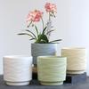 Скандинавский минималистичный керамический цветочный горшок с поддоном для орхидей, суккулентов и зеленых растений