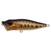 Megabass POPX FA Baby Snakehead