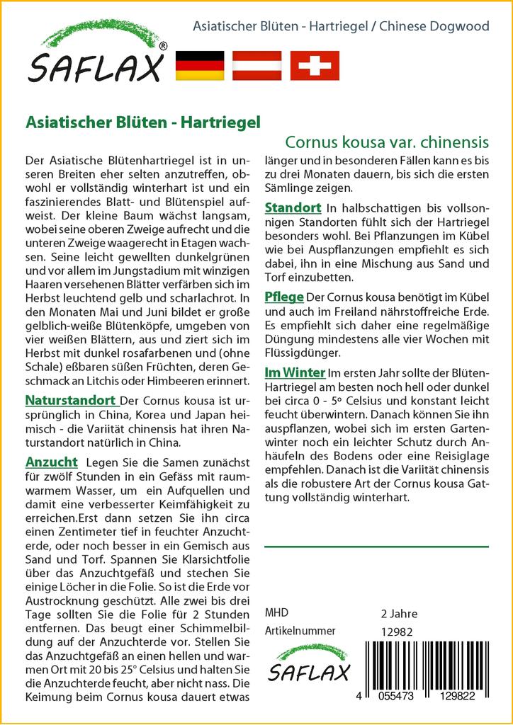 SAFLAX Подарочный набор - Кизил китайский - 30 семян - С подарочной коробкой, карточкой, этикеткой и субстратом для горшков - Cornus kousa