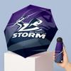 Напечатанный 5? Melbourne StormСложить Мини-зонт 8?Складной ветрозащитный зонт с ребрами для женщин, карманный